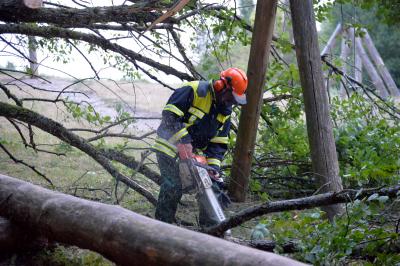 Sturmnachzuegler in Korb - Baum landet auf Pkw am Schuetzenhaus